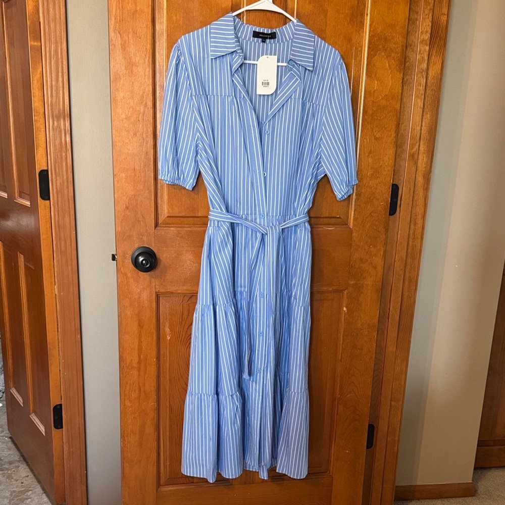 Beulah Striped Midi Dress in Blue and White